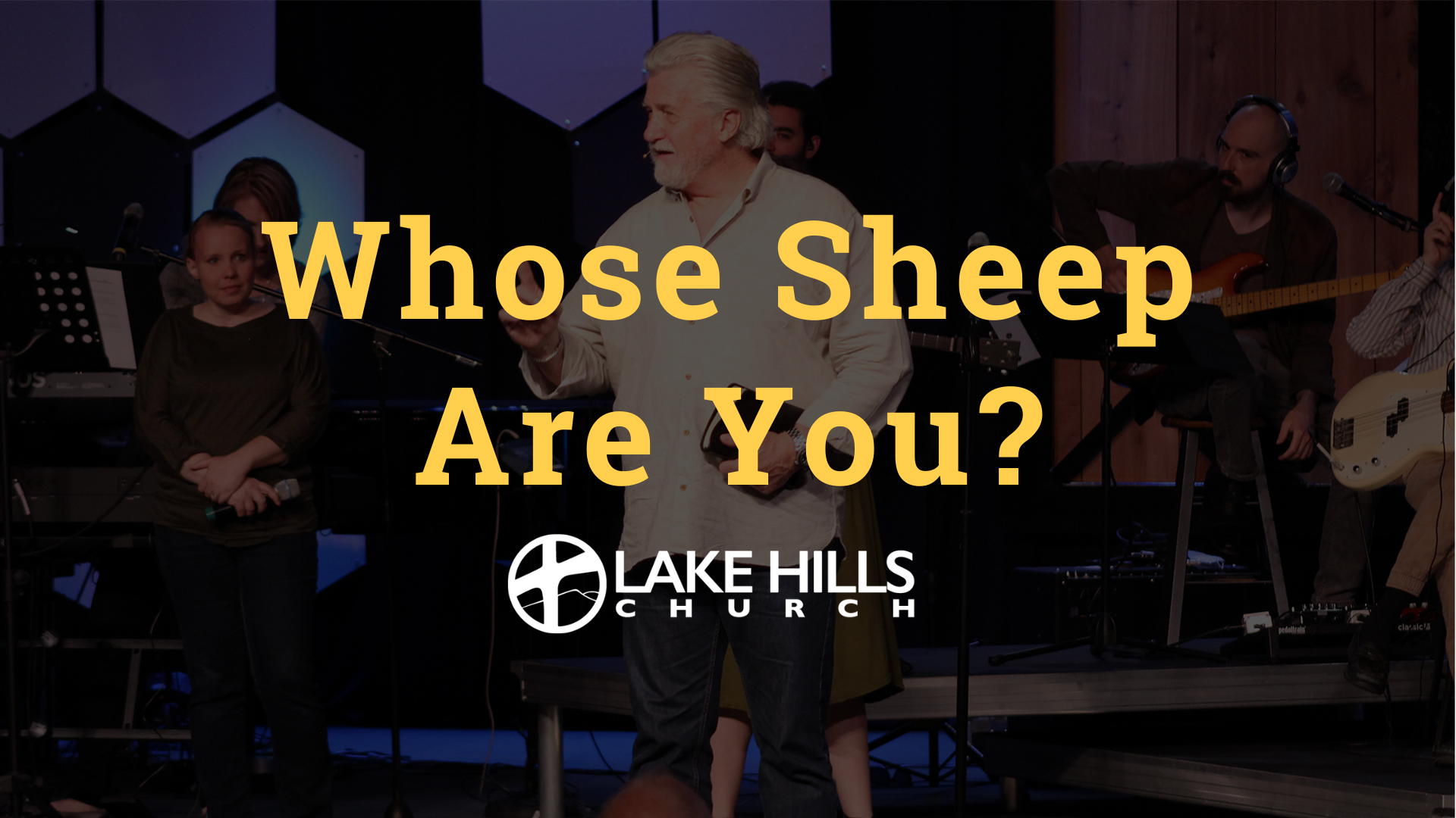 Whose Sheep are you?
